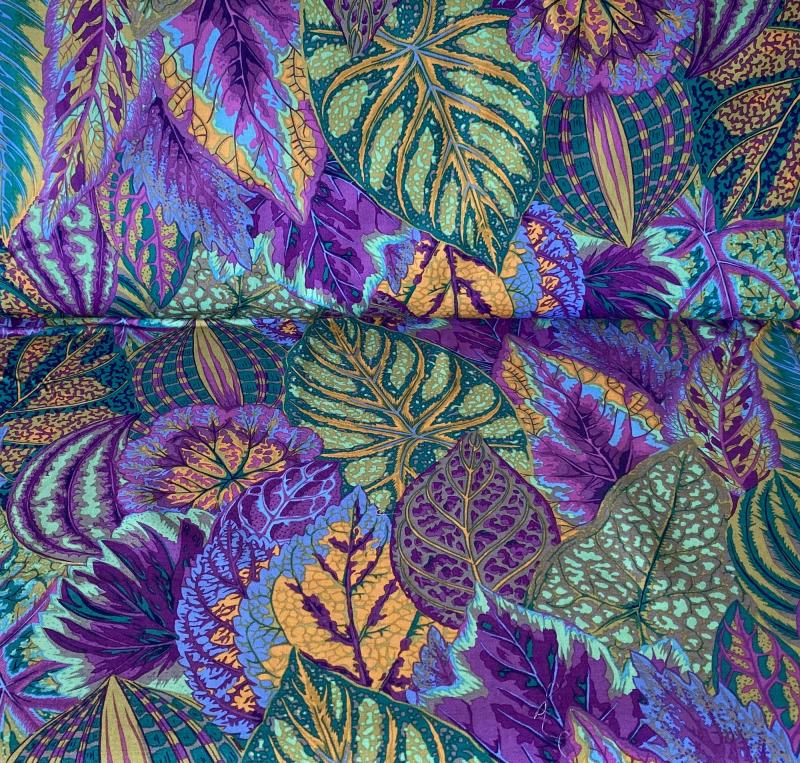 Coleus lavender - 1 Stück = 2,60 Meter