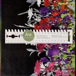 Rainbow of Jewels - Bordüre - 1 Stück = 2,60 Meter