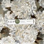 Ophelia - große weiße Blüten auf hellbraunem Grund