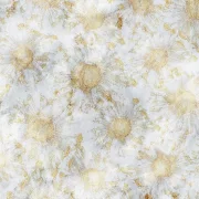 Behind Blue Eyes - Burst