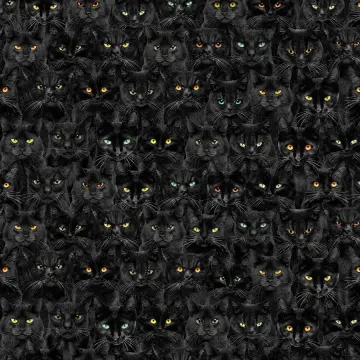 Black Cats