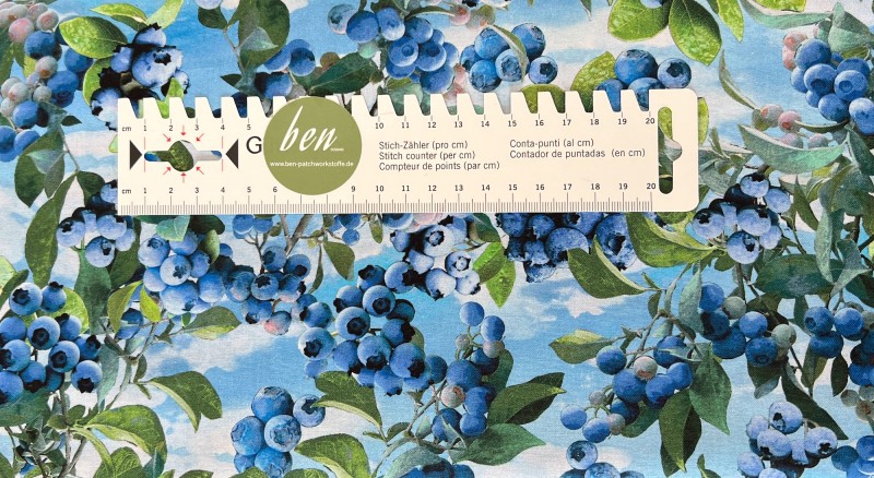 Blaubeerenbusch Sky Blue - 1 Stück = 2,70 Meter