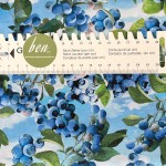 Blaubeerenbusch Sky Blue - 1 Stück = 2,70 Meter