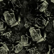 Boneheads - Onyx Roses