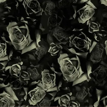 Boneheads - Onyx Roses
