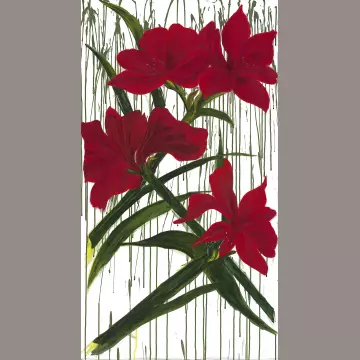 Winter Garden  - Amaryllis auf weiß Panel