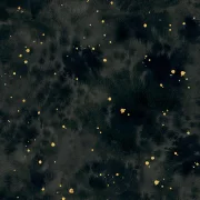 Flora & Form - Texture Onyx