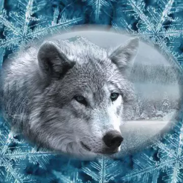 Winterwolf - Quilt Bundle