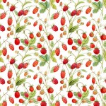 Hedgehog Hollow - Walderdbeeren