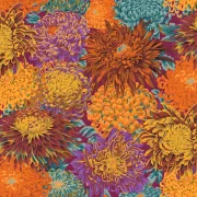 Japanese Chrysanthemen Blüten Autumn