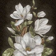 Magnolia - Panel