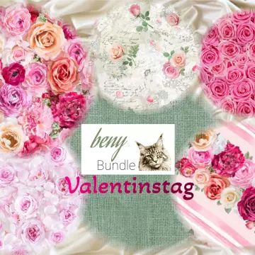 Valentinstag - Bundle