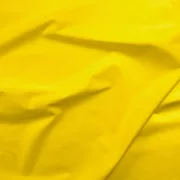 Paintbrush Solids -Pineapple