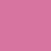 Paintbrush Solids - Bubblegum