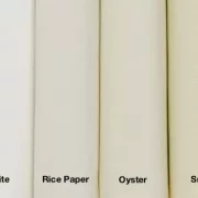 Paintbrush Solids - Rice Paper