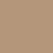 Paintbrush Solids - Teadye