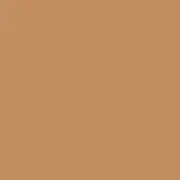 Paintbrush Solids - Wheat