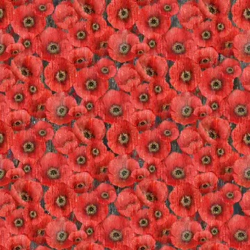 Poppy Meadow - Packed Poppy
