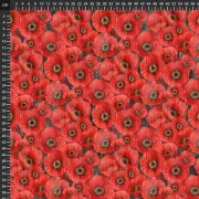 Poppy Meadow - Packed Poppy