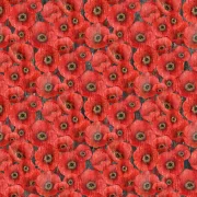 Poppy Meadow - Packed Poppy