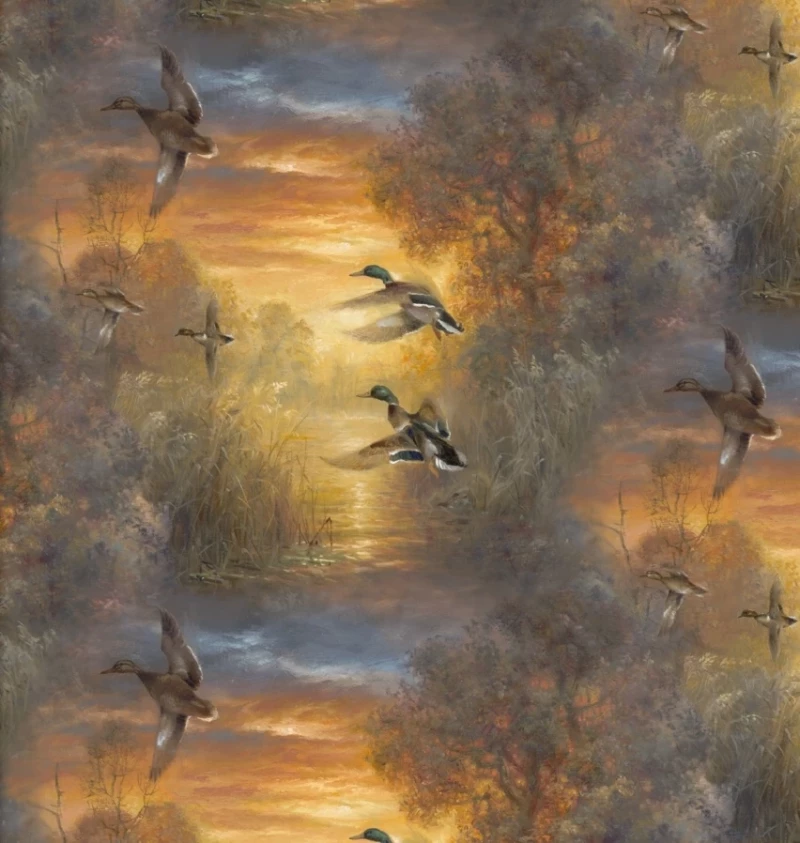 Whitetail Country - Evening Soar