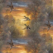 Whitetail Country - Evening Soar