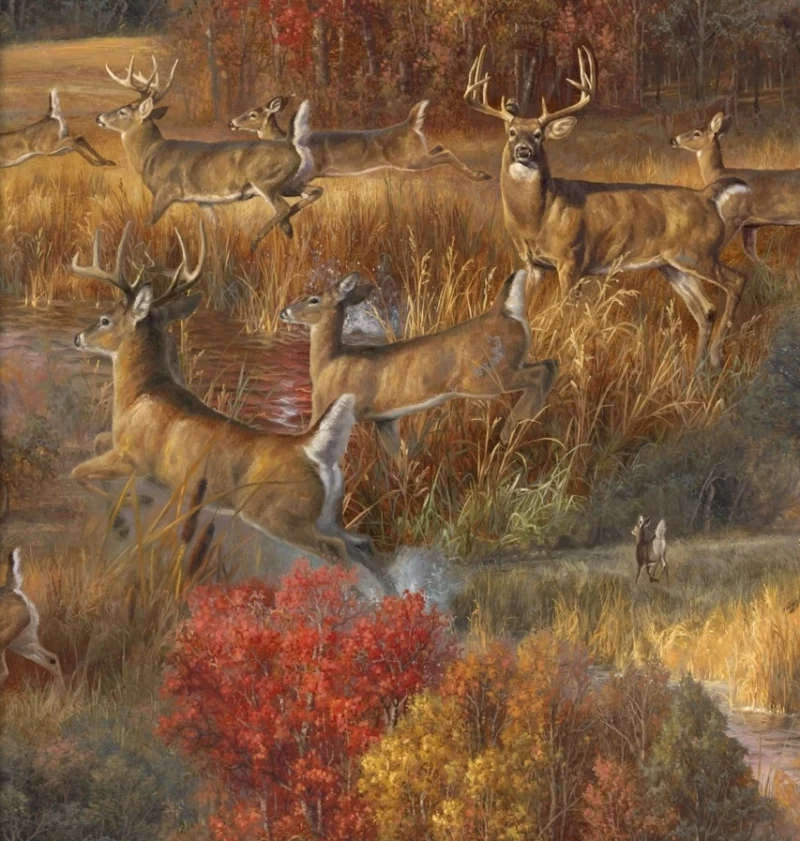 Whitetail Country - Frolicking Deer