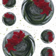 Winter Garden - Amaryllis Kugeln auf weiß Panel