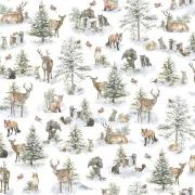Woodland Whispers - Wildtiere
