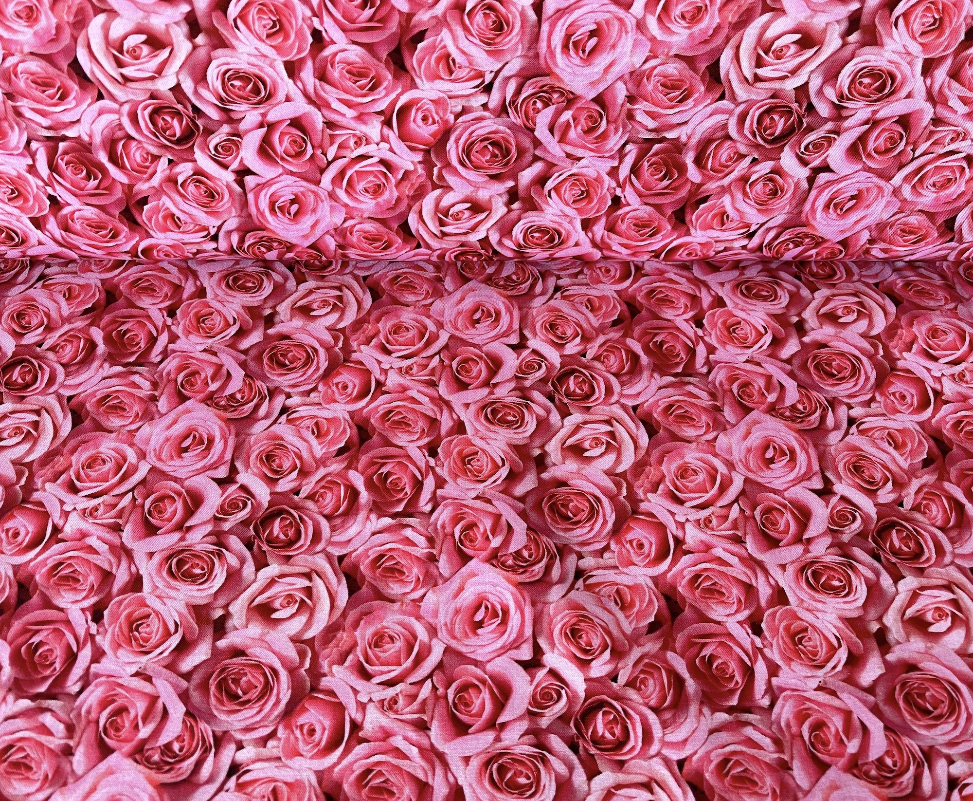 Rosa Rosenblüten - 1 Stück = 1,90 Meter