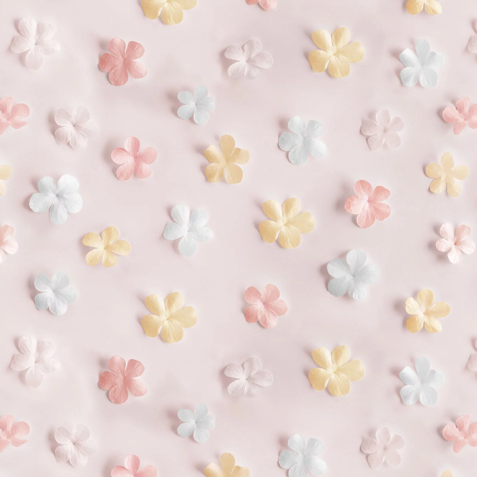 Another Dimension - Sweet Paper Flowers