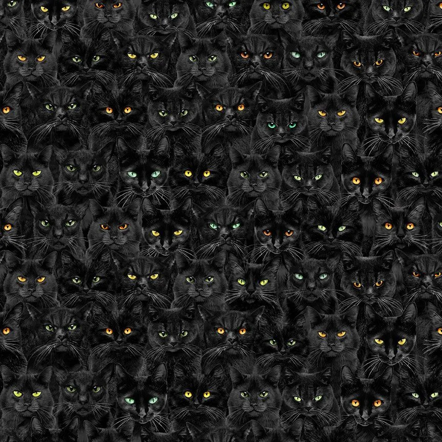 Black Cats