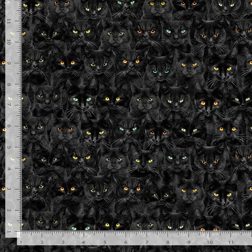 Black Cats