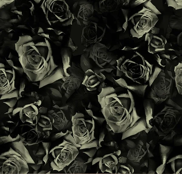 Boneheads - Onyx Roses