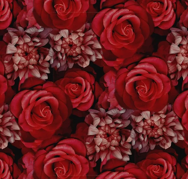 Boneheads - Scarlet Roses