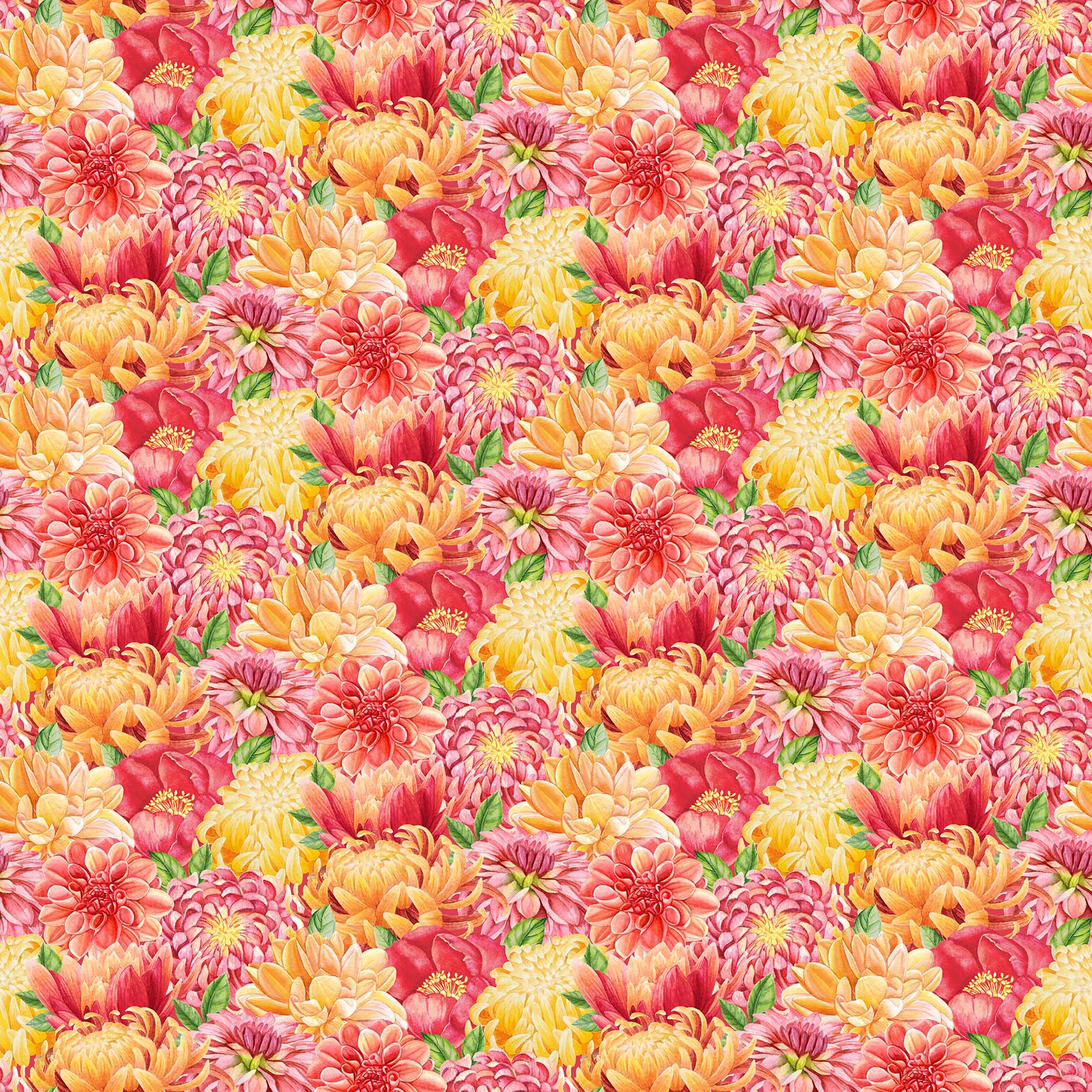 Morning Blossom - Chrysanthemen Blüten allover
