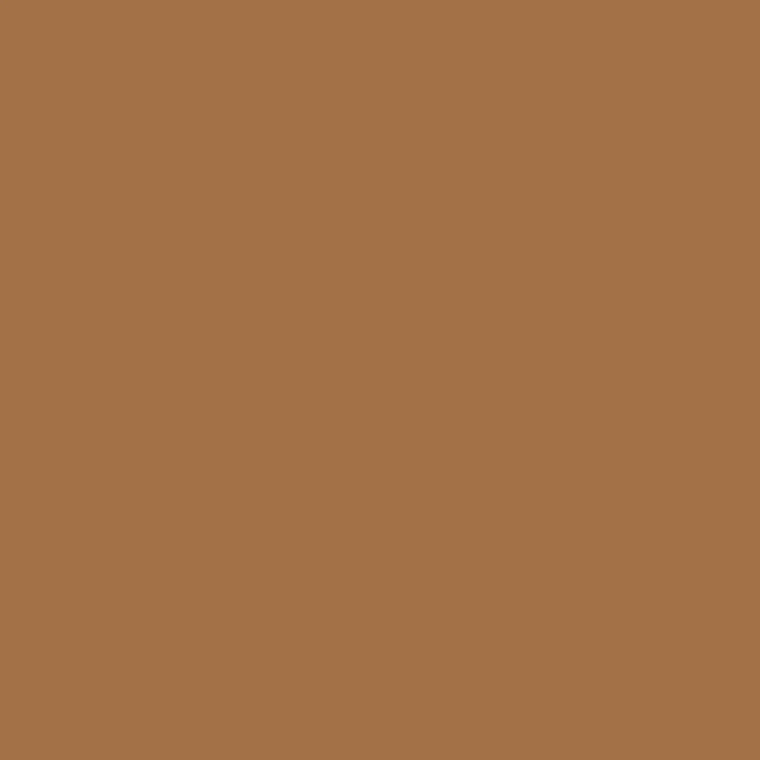 Paintbrush Solids - Mocha