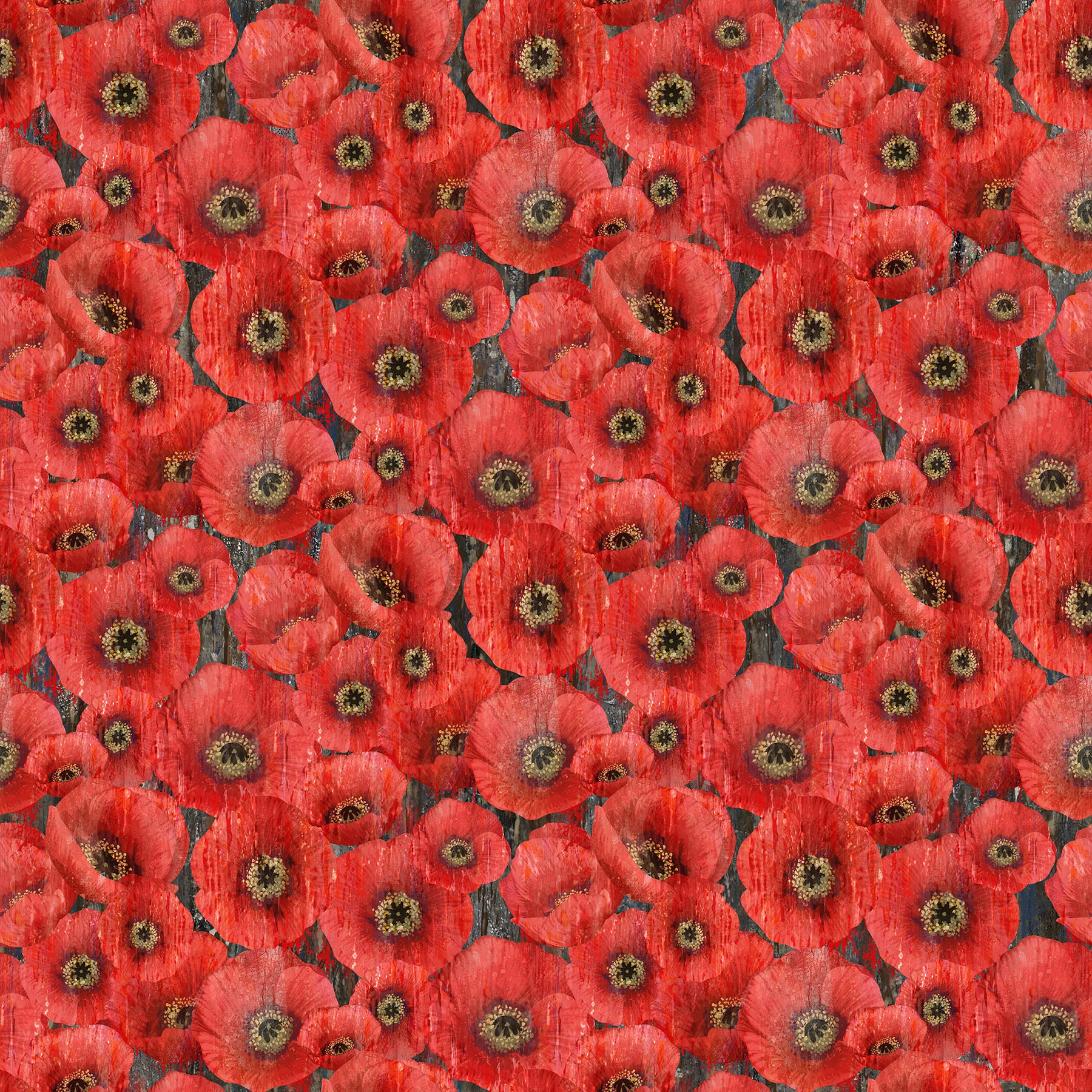 Poppy Meadow - Packed Poppy