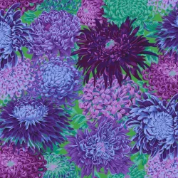 Chrysanthemen KF Classic
