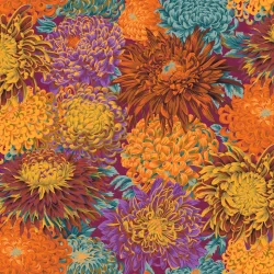 Chrysanthemen KF Classic