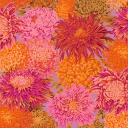 Chrysanthemen KF Classic