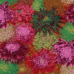 Chrysanthemen KF Classic