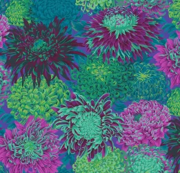 Chrysanthemen KF Classic